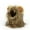 Brown, variant on CSCHome Cat Dog Costume Lion Mane Wig Head for Cat Realistic and Cute Great for Parties, Parades, Photo Shoots or Pet Gifts