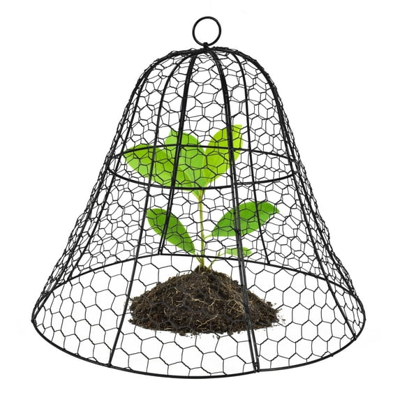 Homarden Garden Cloche Plant Protectors from Animals - Bell Screen Shape Plant Cage - Garden Protection from Animals - Plant Covers for Outdoor Vegetable Garden or Indoor Potted Plants - Black