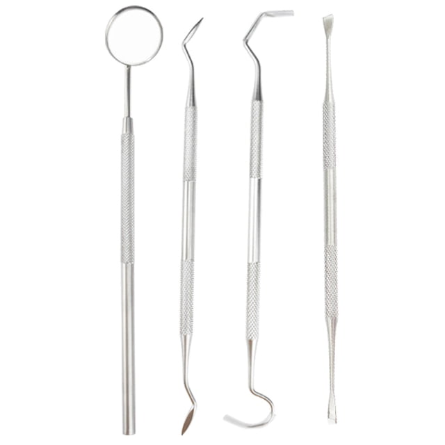 Portable Stainless Steel Toothpicks Pocket Set, for Outdoor Picnic Camping Traveling