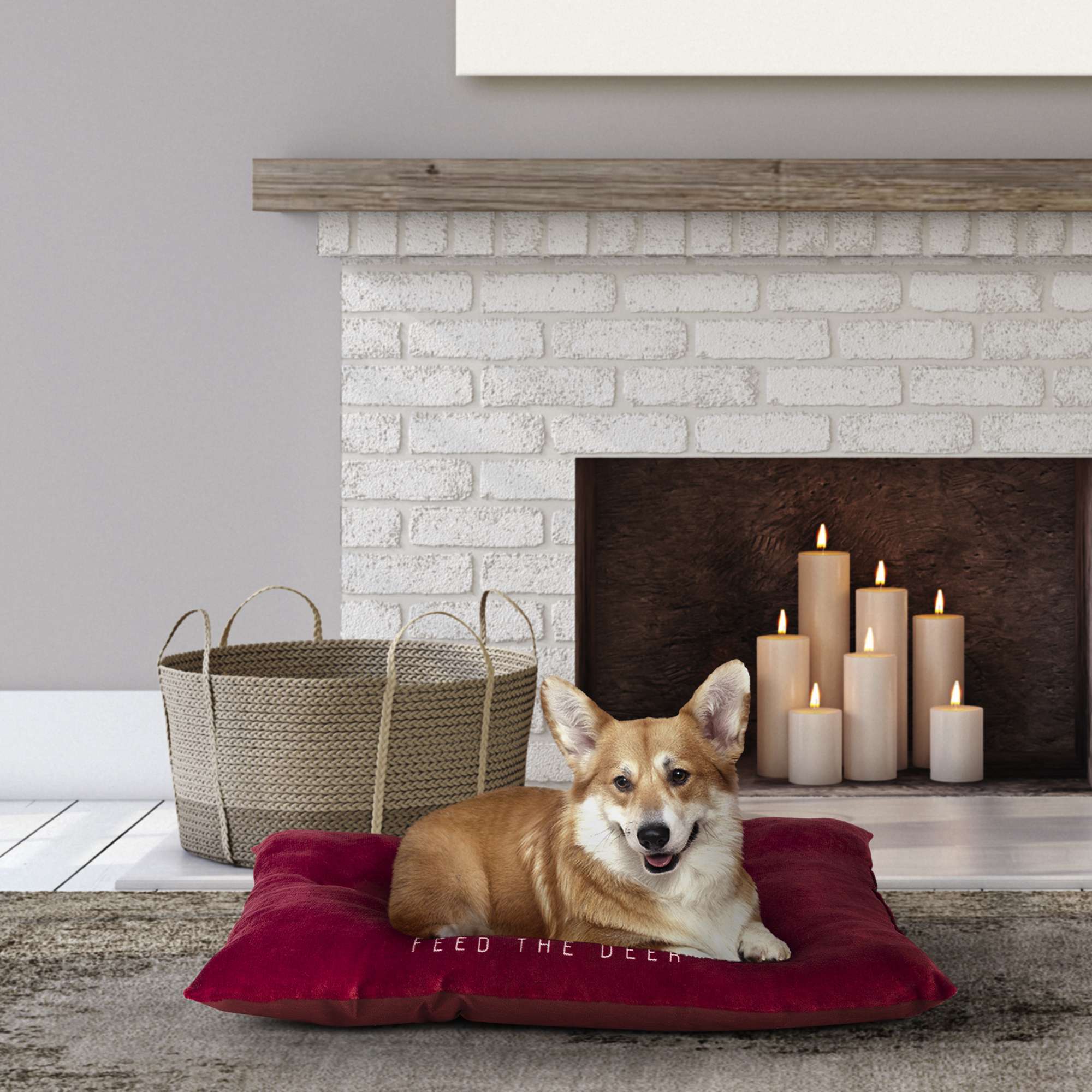 (2 pack) Vibrant Life Dog Bed, Plush Tufted Deer Print, Medium