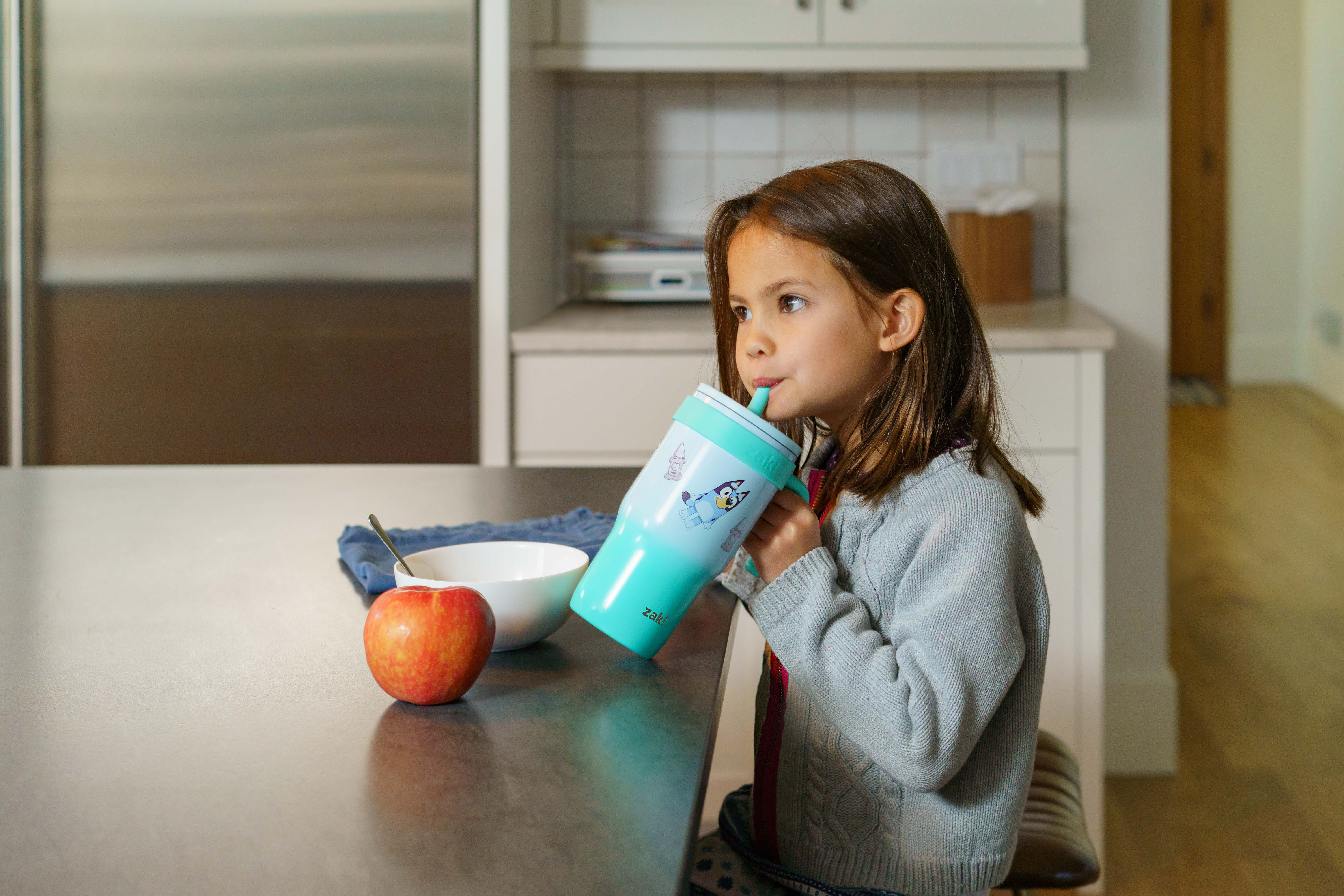 Zak Designs Bluey Kids Insulated Tumbler with Straw, 18oz photo 4