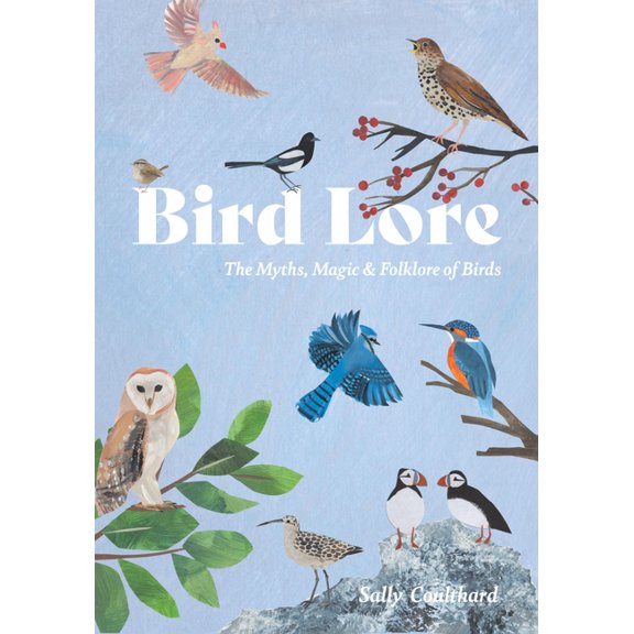 Bird Lore: The Myths, Folklore and Meaning of Birds, (Hardcover)