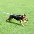 thumbnail image 3 of Country Brook Petz® 5/8 Inch Digital Camo Leash Limited Edition, 4 Foot, 3 of 5