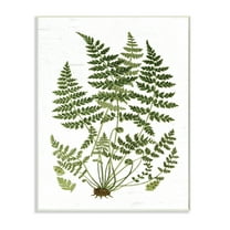 Stupell Industries Forest Botanicals Charming White Willow Greenery Wall Plaque, 10 x 15, Design by Lettered and Lined
