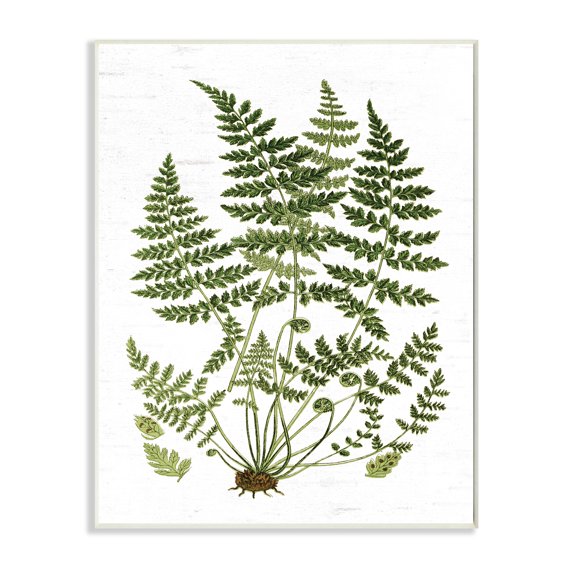 Stupell Industries Forest Botanicals Charming White Willow Greenery Wall Plaque, 10 x 15, Design by Lettered and Lined