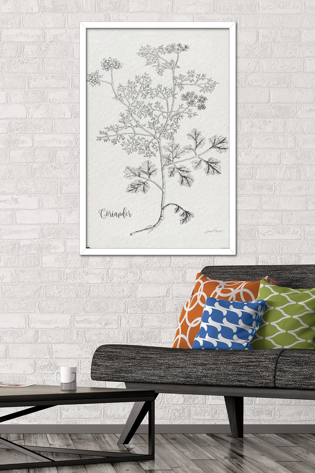 Jean Plout - Botanical Studies on Paper Coriander Wall Poster, 22.375" x 34" Framed