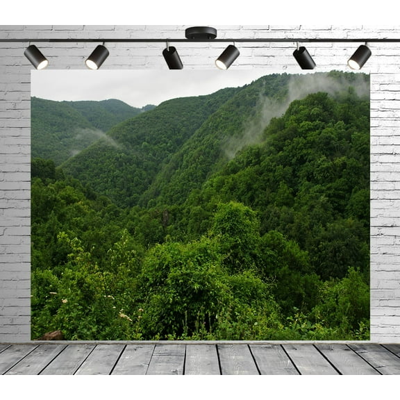 Diha 5x4ft Forest Backdrop, Mountain Cloud Trees, Backdrop for Party Decoration, Outdoor Theme Bedroom Wedding Day Photoshoot Background, Kids Game Video Studio Props