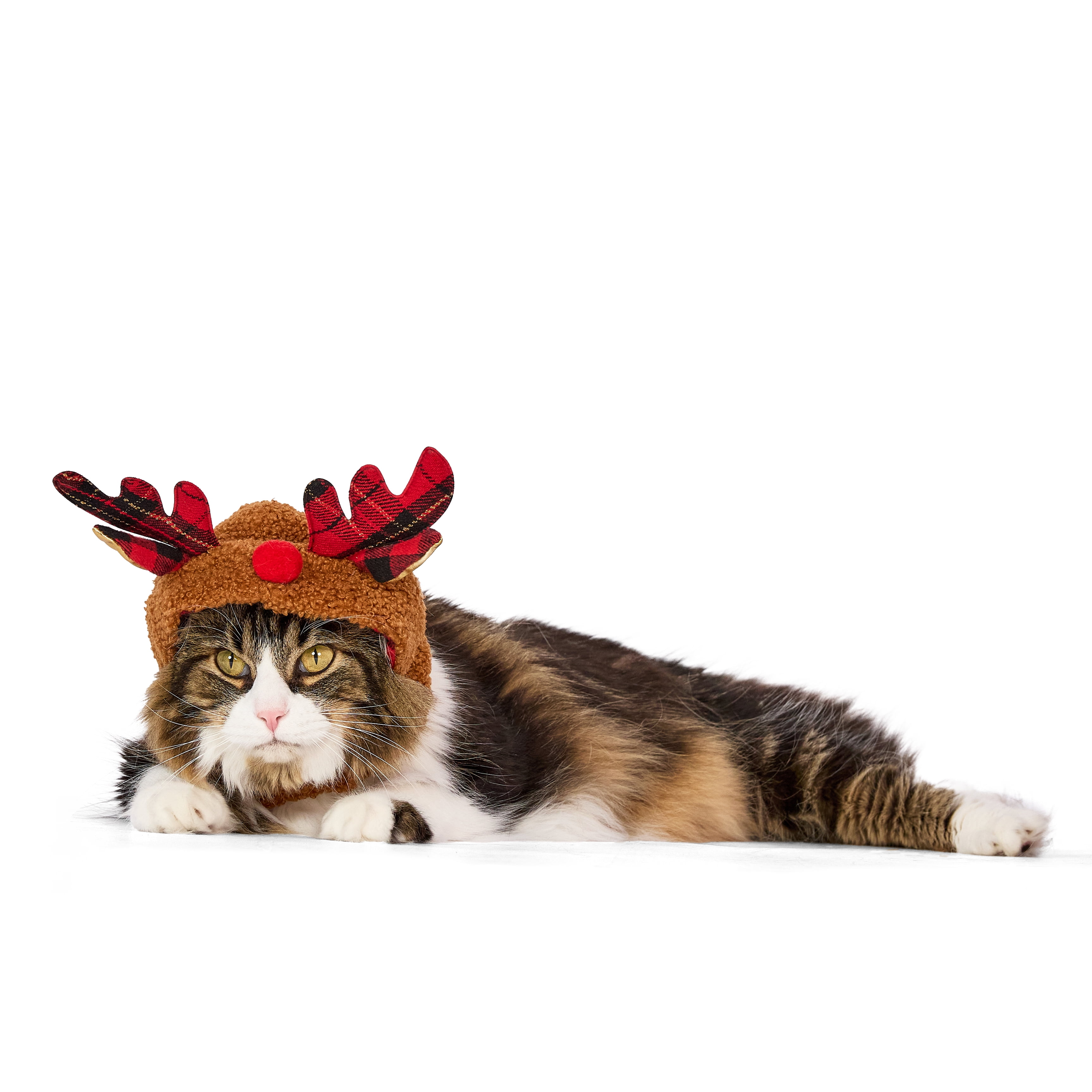 Vibrant Life Holiday Pet Reindeer Antlers Hat for Cats and Dogs, Brown, Extra Small/Small