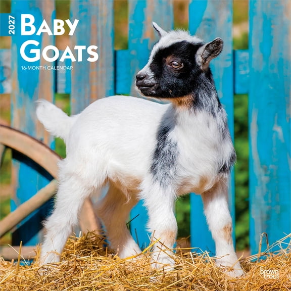 Baby Goats | 2027 12x24" (Hanging) Wall Calendar | Plastic-Free | BrownTrout