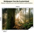 Peel and Stick Wallpaper Misty morning forest sunbeams Modern Art Wall ...
