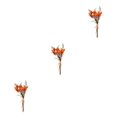 thumbnail image 2 of Ramos de Flores secas naturales Cateissary HS-15 3Conjunto, 2 of 6