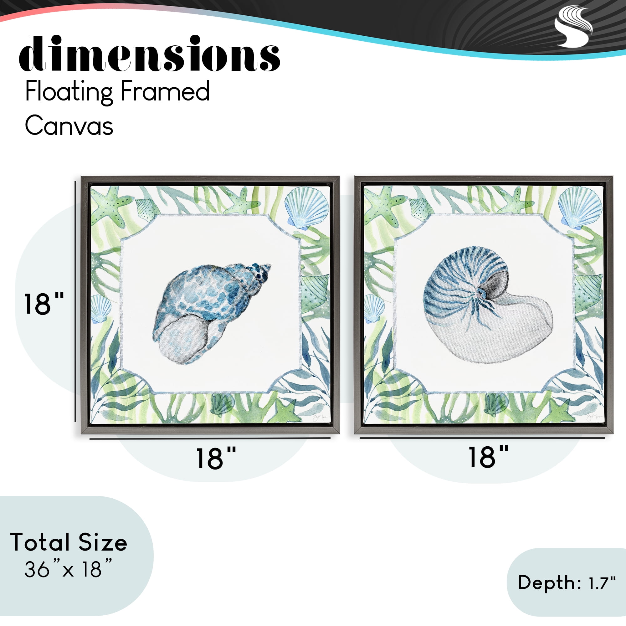 Stupell Industries Seaweed Bordered Seashells 2 Piece Gray Framed Floater Canvas Set, design by Janet Tava