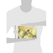 What Bird Am I? The Bird Identification Game, by Outset Media