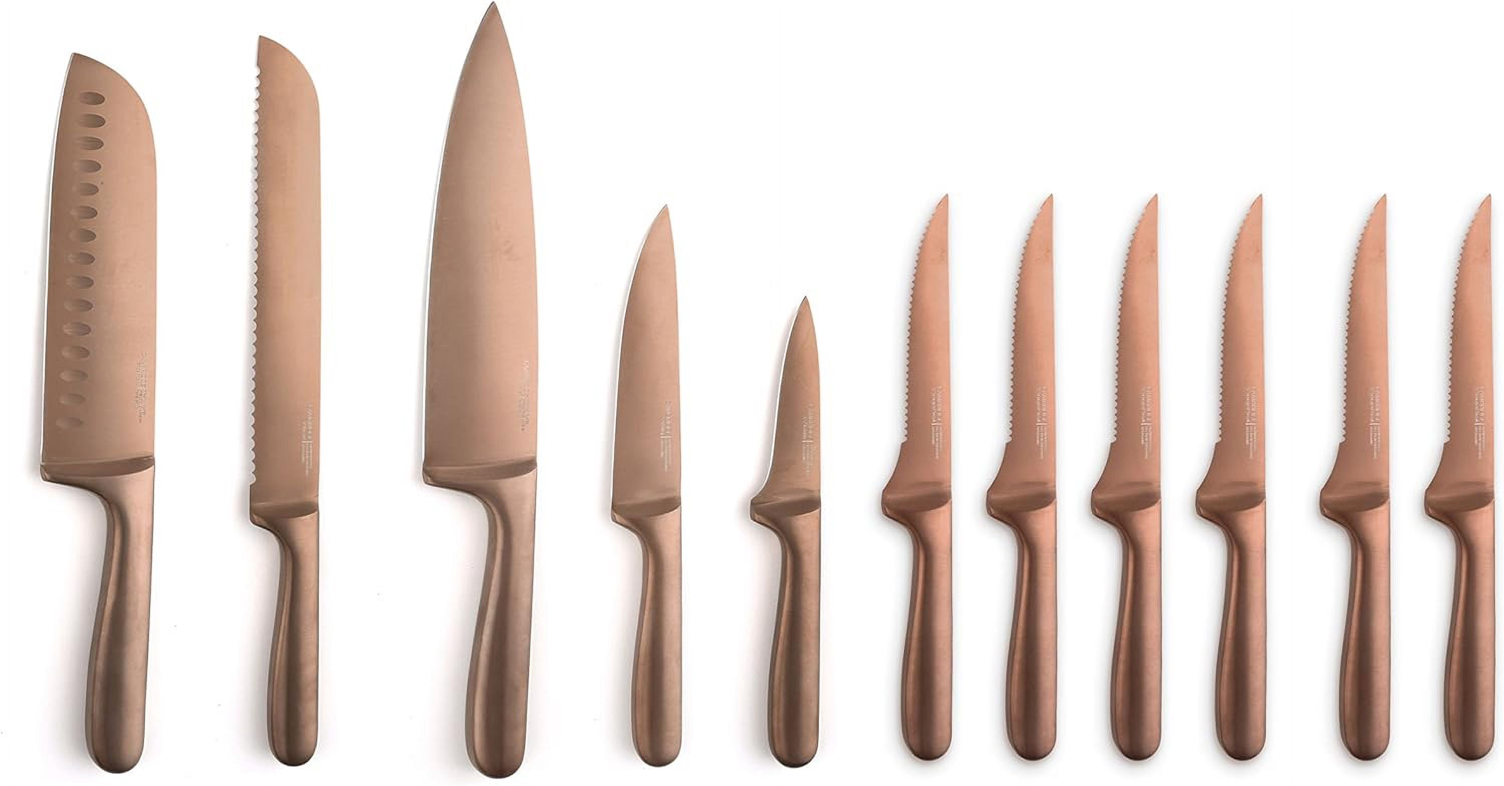 Cambridge Silversmiths Rame Stainless Steel Cutlery Block Knife Set (12-Piece)