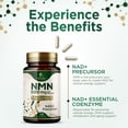 thumbnail image 5 of NMN Supplement - β-Nicotinamide Mononucleotide (NMN) 500 mg Per Serving - Pure NMN Formula - NAD+ Precursor Supplement - Cellular Energy & NAD Support - Vegan Capsules - Bottled in USA - 120 Capsules, 5 of 9