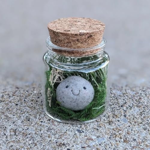 Adopt Rock A Pet, Adorable Pet Rock Terrarium, Handcrafted Smiling Rocks, Perfect Human Companion Gift, Unique Home Decor (1-A) 1-a 1-a