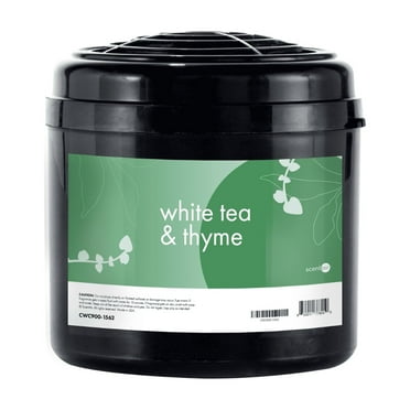 ScentAir Whisper Home Plug-in Refill, Air Freshener Fragrance Cartridge, White Tea & Thyme, 1 Pack