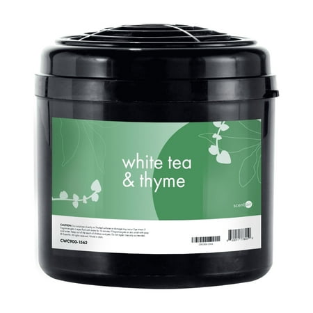 ScentAir Whisper Home Plug-in Refill, Air Freshener Fragrance Cartridge, White Tea & Thyme, 1 Pack