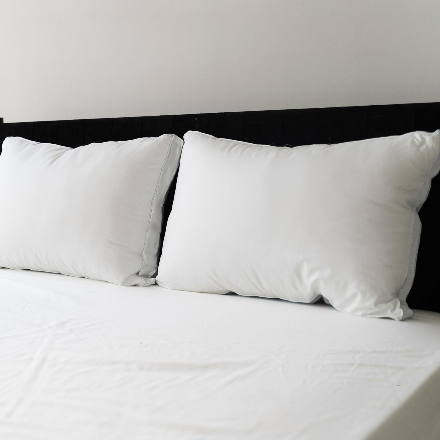 Sealy Firm Support Back Sleeper Cotton Cover Machine Washable Bed Pillow 2 Pack