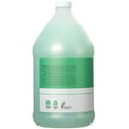 thumbnail image 4 of Ginger Lily Farms Club & Fitness Nourishing Body Wash, 100% Vegan & Cruelty-Free, Bath & Shower Gel for Men and Women, Aloe Vera Scent, 1 Gallon (128 fl. oz.) Refill, 4 of 7