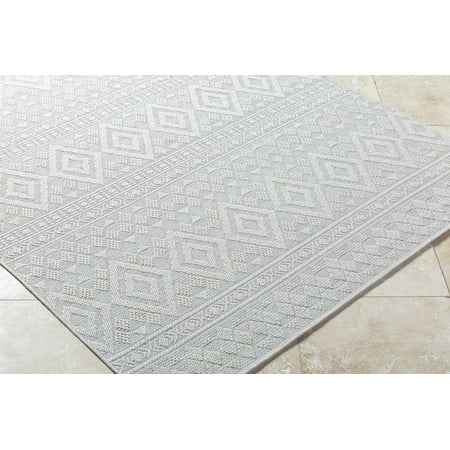 Hauteloom Choire Living Room, Bedroom Patio Outdoor Area Rug - Contemporary - Light Silver, Silver Gray - 5'3" x 7'