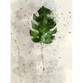 thumbnail image 2 of Young, Chamira 25x32 White Modern Wood Framed Museum Art Print Titled - Single Leaf, 2 of 4