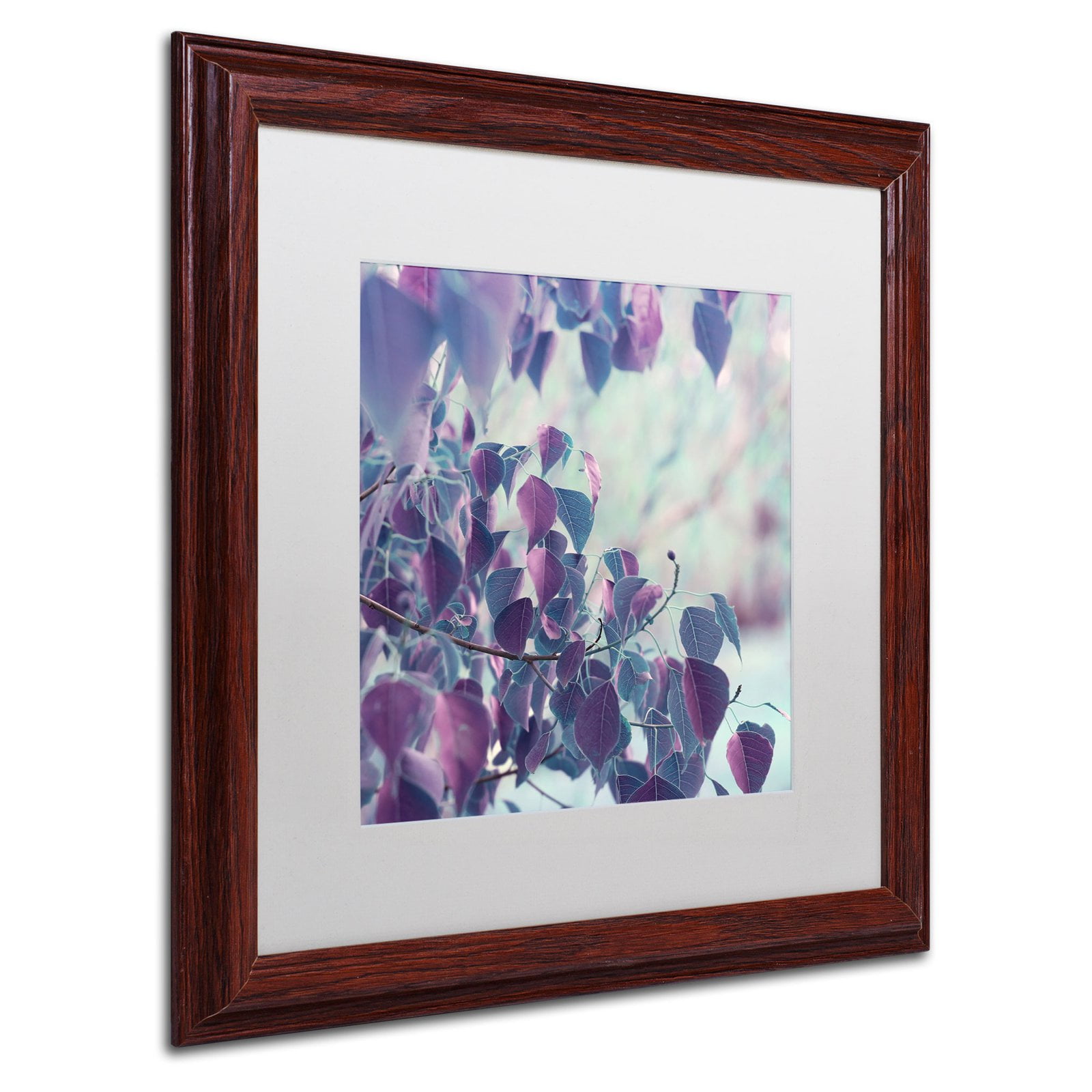 Trademark Fine Art "Summer Thoughts" Canvas Art by Beata Czyzowska Young Black Matte, Black Frame