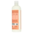 Shea Moisture Coconut & Hibiscus Curl & Shine Conditioner Family Size