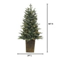thumbnail image 2 of Gerson 4 ft. Pre Lit Clear UL Potted Natural Cut Blue Spruce, 2 of 3