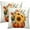 Sunflower Pumpkin, variant on Fall Throw Pillow Covers 16x16 Set of 2, Pumpkin Sunflower Leaves Autumn Season Farmhouse Decorative Pillow Cases for Sofa Bed Couch Harvest Thanksgiving Day Outdoor Home Decor
