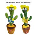 thumbnail image 3 of Muñecas de tela de punto de cactus de baile y canto electrónico divertidas tempranas, 3 of 8