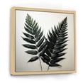 thumbnail image 2 of Designart "Spruce Leaves In Shadowed Black II" Leaves Floater Framed Wall Decor, 2 of 5