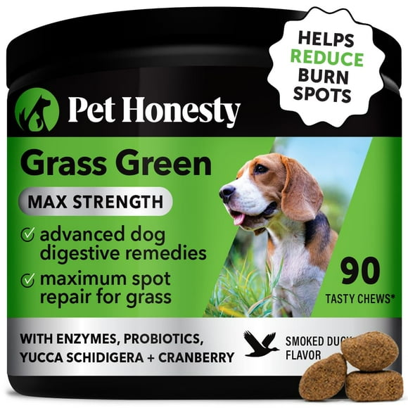 Pet Honesty Grass Green Max Strength Burn Spot Chews for Dogs - Premium Formula - Dog Pee Lawn Spot Saver Supplement Caused by Dog Urine, Dog Antioxidant with Probiotics + DL-