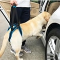 thumbnail image 5 of UOSIA Dog Lift Harness for Back Legs Soft Breathable Dog Rear Leg Sling Support, 5 of 6