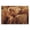 Highland Cattle Calf_v1, variant on Stupell Industries Eclectic Black Floating Frame Canvas Art, 21 x 17, by Reinders