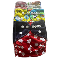 Toddler Adjustable Hybrid Cloth Diaper, multicolor, 6pk of diapers and inserts