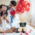 thumbnail image 6 of Uuiauoio Valentines Day Plush Bear Stuffed Bears with Heart Pattern Stuffed Animal for Valentine's Day Gifts Birthday School Graduation Party Favor, 6 of 6