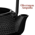 thumbnail image 3 of Milisten Tetera De Hierro Fundido Negro Con E Interior Saludable Para Té, 3 of 6
