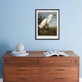 thumbnail image 5 of Snowy Heron or White Egret  Snowy Egret, Animals Framed Art Print Wall Art by John James Audubon Sold by Art.Com, 5 of 6