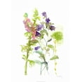 thumbnail image 2 of Wang, Melissa 18x24 Gold Ornate Wood Framed with Double Matting Museum Art Print Titled - Watercolor Floral Study I, 2 of 4