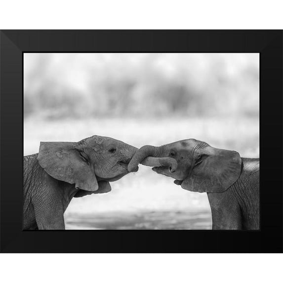 Marx, Jaco 24x19 Black Modern Framed Museum Art Print Titled - Greetings