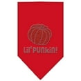 thumbnail image 4 of Halloween Pet and Dog Bandana Rhinestone, "Lil Punkin", 4 of 10