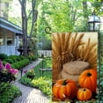 thumbnail image 4 of PHYHOO Fall Welcome Garden Flags for Outside Double Sided, Autumn Paddy Pumpkin Farmhouse Style Sign Lawn Burlap Small Flag Yard Outdoor Decoration White, 4 of 6