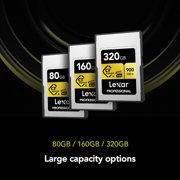 Lexar Professional CFexpress Type A Card GOLD Series (80 GB), 80 GB