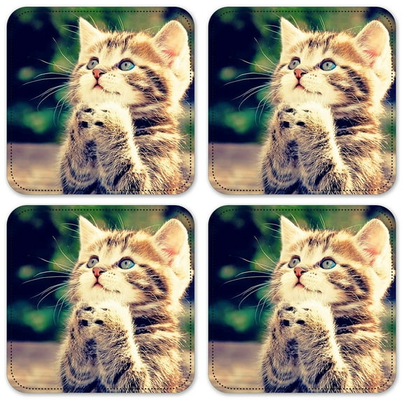 Vinyl Drink Coasters - Set of 4 - Praying Kitten