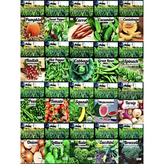 Over 5,000 Seeds!! Set of 20 Vegetable, Herb & Melon Garden Seeds. Heirloom-100% Non-GMO, Non-Hybrid!
