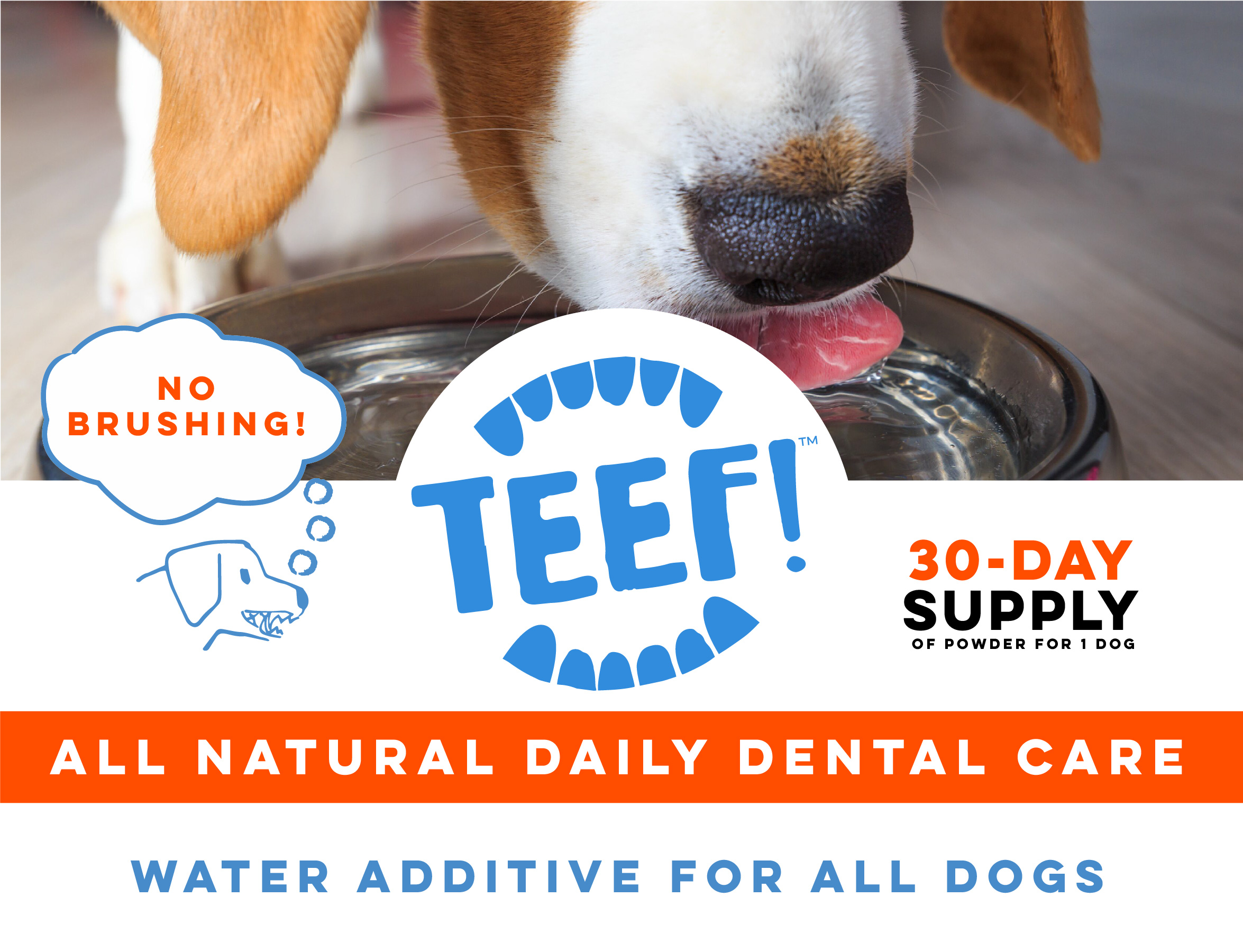 TEEF Daily Dental Care - Natural Dog Dental Water Additive, Fights Plaque and Tartar - No Brushing, Add to Water Bowl and Say Goodbye to Bad Dog Breath - Essential For Dog Gum Disease Treatment - image 2 of 9
