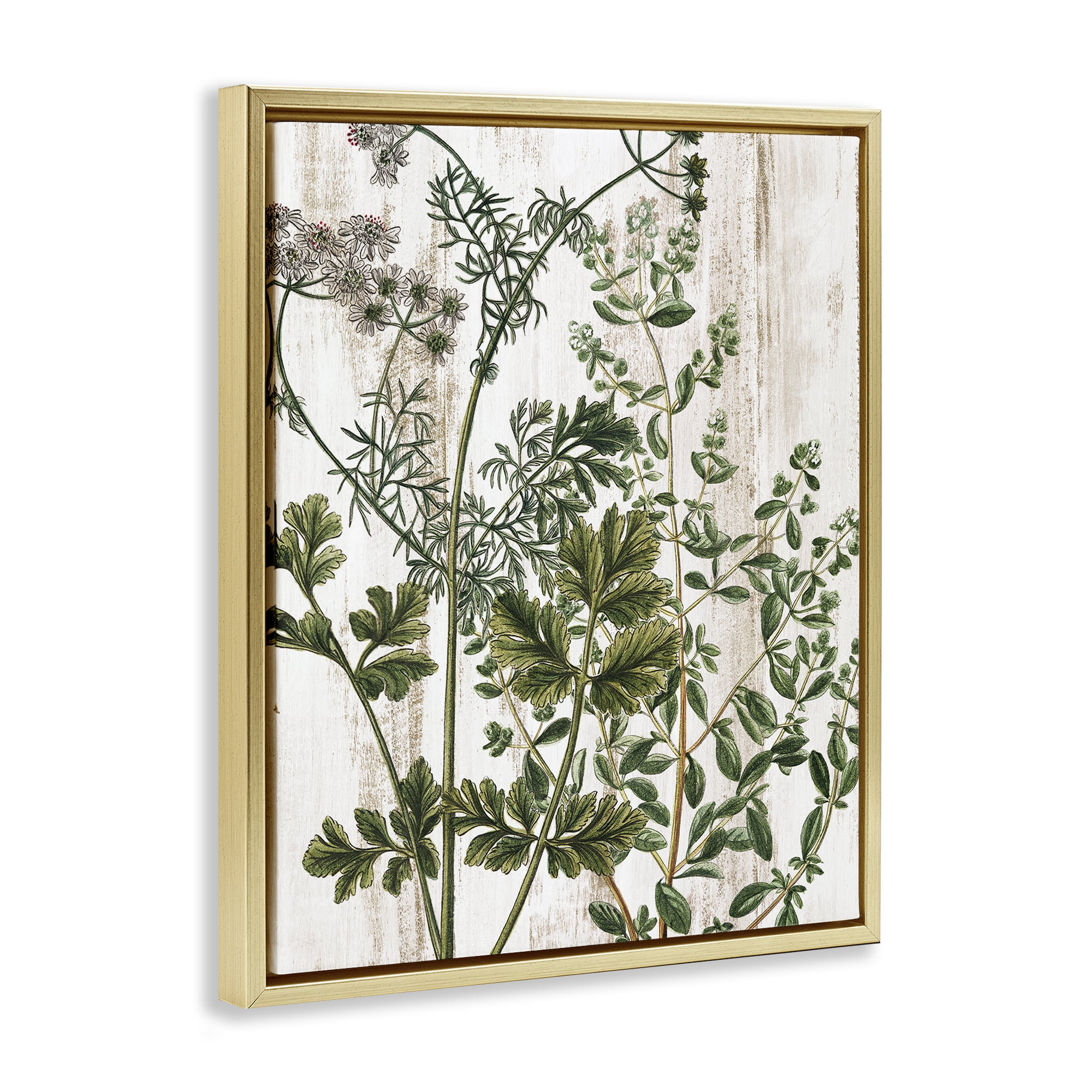 Stupell Industries Botanical Greenery Pattern Botanical & Floral Painting Gold Floater Framed Art Print Wall Art, 25 x 31