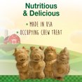 thumbnail image 3 of Nylabone Healthy Edibles Puppy Natural Long Lasting Dog Chew Treats Lamb & Apple Flavor Small - Up to 20 lbs., 3 of 11