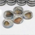 thumbnail image 2 of Innovative Wish Pearl Necklace Kit with Pendant Cage Mysterious Pearl Gift Set Great Gift for Little Girls（A Suit）, 2 of 4